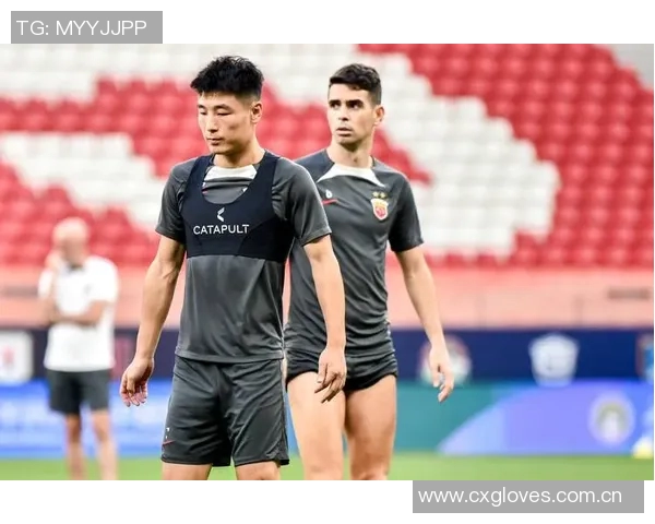 海港球员身价波动分析维塔尔蒯纪闻上涨武磊等人下跌情况解读 海港球员身价波动分析维塔尔蒯纪闻上涨武磊等人下跌情况解读