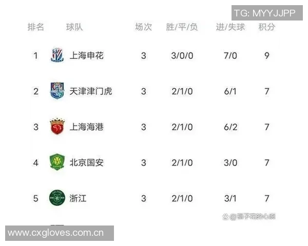 中超最新积分榜解析海港继续领跑蓉城紧随其后申花争夺榜首机会仍在