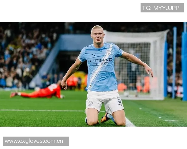 新世纪五大联赛球员连续进球纪录莱万14场领衔哈兰德范尼紧随其后