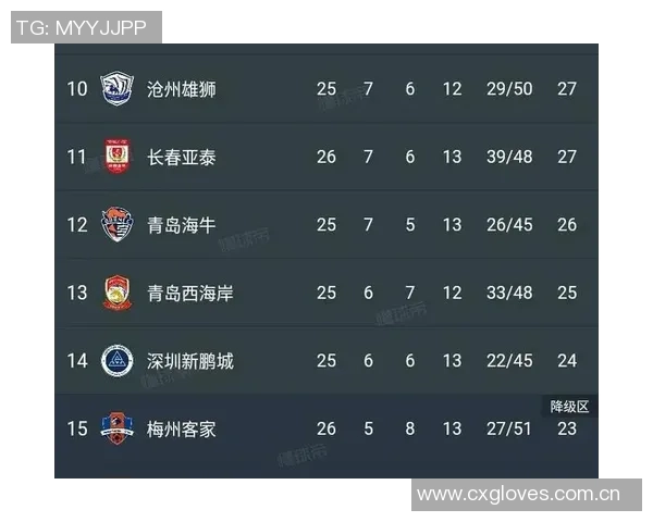 中超最新积分榜解析海港继续领跑蓉城紧随其后申花争夺榜首机会仍在